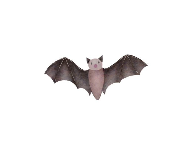 Bat