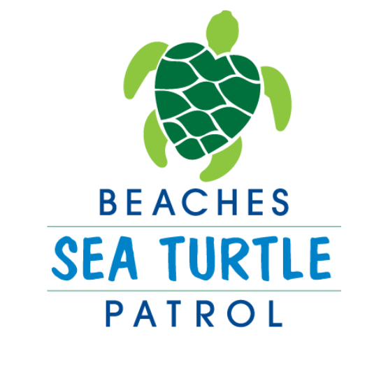 Beaches Sea Turtle Patrol Logo
