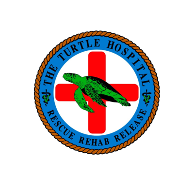 The Turtle Hospital Logo