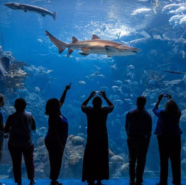 Things to do in Gainesville FLMTPH