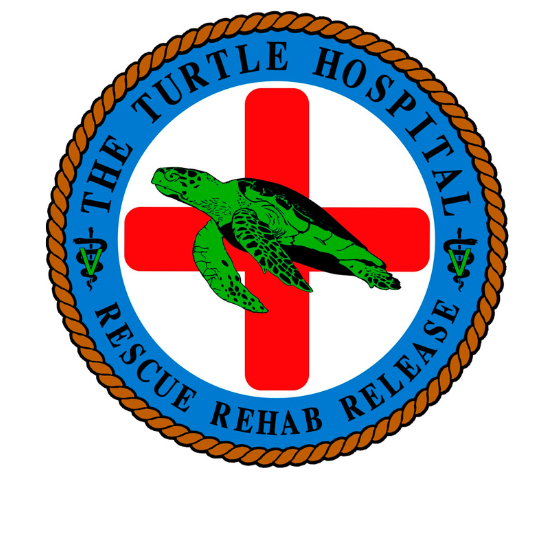 The Turtle Hospital Logo